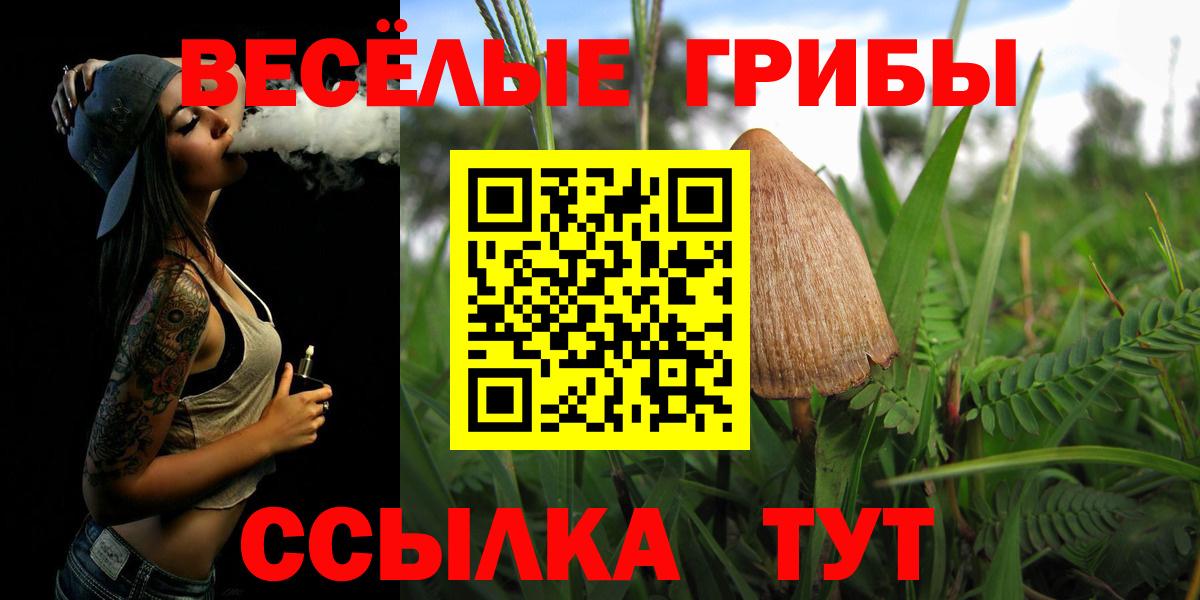 Псилоцибиновые грибы мухоморы Барабинск