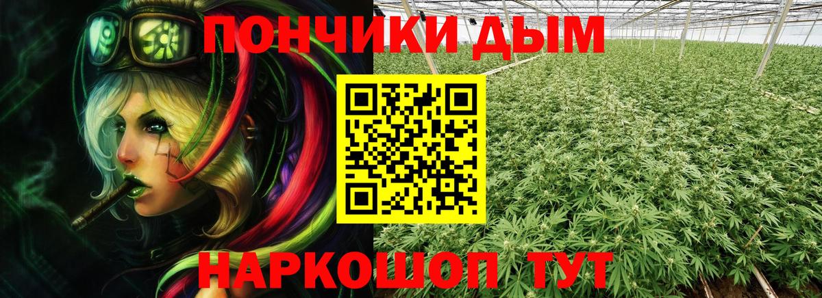 Марихуана ГИДРОПОН  Марихуана план  Каннабис планчик  Вход с VPN  Барабинск 